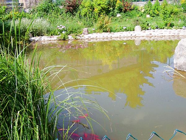 Au&szlig;enanlage der Ferienwohnung: Natur pur, Entspannung im Gr&uuml;nen